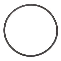 Winters QC Seal Plate Seal O-Ring