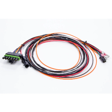 MSD Wiring Harness