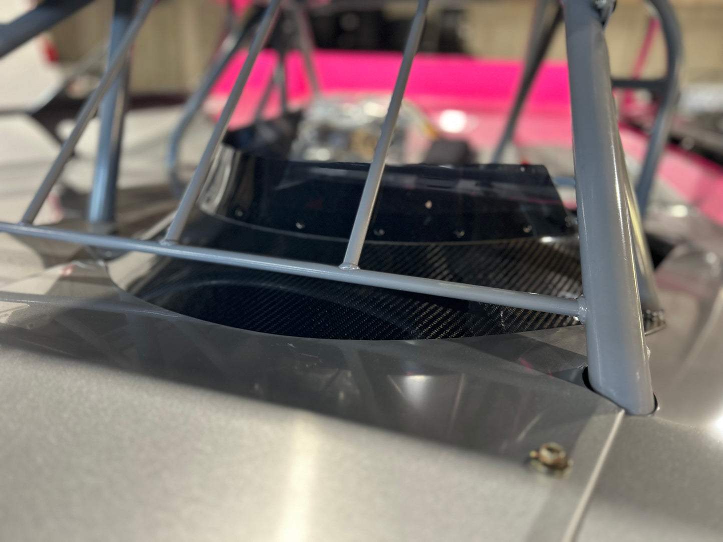 Rock Guard (Carbon Fiber) W/ Lexan Ext